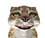 Spanish Lynx Baby - Zoo Tycoon 2