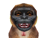 Gelada Baby - Zoo Tycoon 2