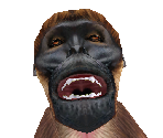 Gelada Female - Zoo Tycoon 2
