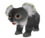 Koala Baby - Zoo Tycoon 2