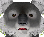 Koala Female - Zoo Tycoon 2