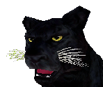 Black Leopard - Zoo Tycoon 2