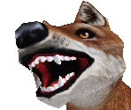 Ethiopian Wolf Male - Zoo Tycoon 2