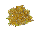 Secretary Bird Nest - Zoo Tycoon 2