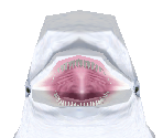 Beluga - Zoo Tycoon 2