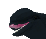 Short-Finned Pilot Whale Baby - Zoo Tycoon 2