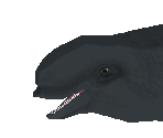 Short-Finned Pilot Whale - Zoo Tycoon 2