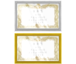 Regional/National Award - Pokémon Omega Ruby / Alpha Sapphire