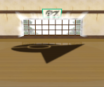 Petalburg Gym - Pokémon Omega Ruby / Alpha Sapphire