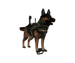 Riley in Battle Gear - Avatar Marketplace