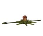 Venemous Tentacula - Harry Potter & the Chamber of Secrets