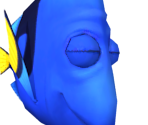 Charlie - Dory's Reef
