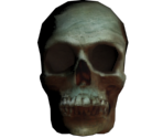 Skull - Batman: Arkham Asylum