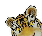 Bengal Tiger Baby - Zoo Tycoon 2