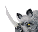 Black Rhinoceros - Zoo Tycoon 2