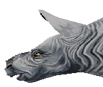 Black Rhinoceros Baby - Zoo Tycoon 2