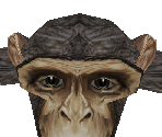Chimpanzee Baby - Zoo Tycoon 2