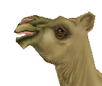 Dromedary Camel - Zoo Tycoon 2
