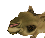 Dromedary Camel Baby - Zoo Tycoon 2