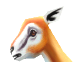 Thomson's Gazelle Baby - Zoo Tycoon 2