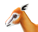 Thomson's Gazelle Female - Zoo Tycoon 2