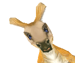 Red Kangaroo Baby Female - Zoo Tycoon 2