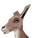 Red Kangaroo Female - Zoo Tycoon 2