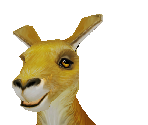 Red Kangaroo Male - Zoo Tycoon 2