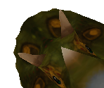Triceratops Baby - Zoo Tycoon 2