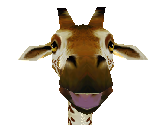 Reticulated Giraffe - Zoo Tycoon 2