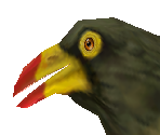 Oxpecker - Zoo Tycoon 2