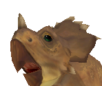 Styracosaurus Baby Male - Zoo Tycoon 2
