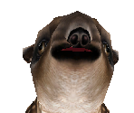 Baird's Tapir Baby - Zoo Tycoon 2