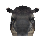 Baird's Tapir Male - Zoo Tycoon 2