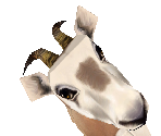 Scimitar-Horned Oryx Baby - Zoo Tycoon 2