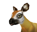 Okapi Baby - Zoo Tycoon 2