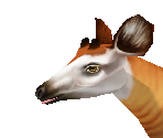 Okapi Male - Zoo Tycoon 2