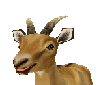 Ibex Female - Zoo Tycoon 2