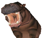 Pygmy Hippopotamus - Zoo Tycoon 2