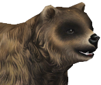 Grizzly Bear Baby - Zoo Tycoon 2