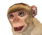 Barbary Ape Baby - Zoo Tycoon 2