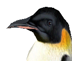 Emperor Penguin - Zoo Tycoon 2