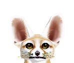 Fennec Fox - Zoo Tycoon 2