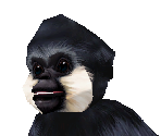 Crested Gibbon Male Baby - Zoo Tycoon 2