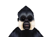 Crested Gibbon Male - Zoo Tycoon 2