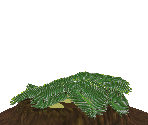 Dinosaur Nest - Zoo Tycoon 2