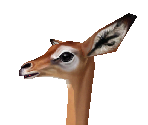 Gerenuk Female - Zoo Tycoon 2