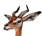 Gerenuk Male - Zoo Tycoon 2