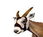 Gemsbok Baby - Zoo Tycoon 2