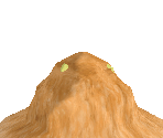 Dinosaur Nest Desert - Zoo Tycoon 2